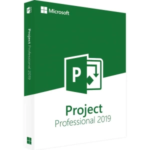 Microsoft project 2019 professionnel